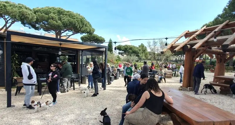 Santa Marinella, Domenica 26 ottobre torna la Giornata del microchip gratuito