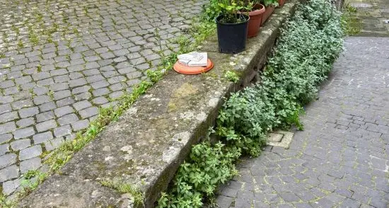 «Cunicchio ancora nel degrado»