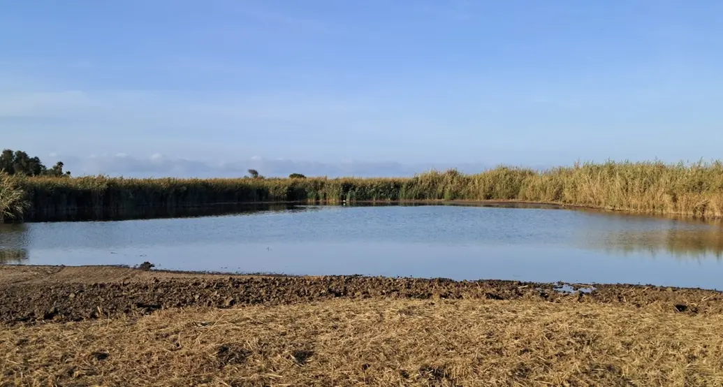 Torna l’acqua nella Palude “secca” ma preoccupa l’erosione marina