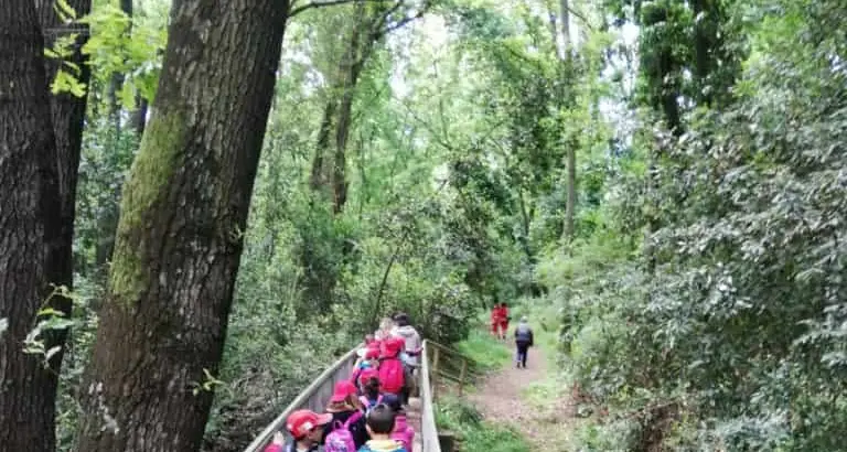 «Il bosco di Valcanneto non può essere considerato solo un problema di sicurezza»