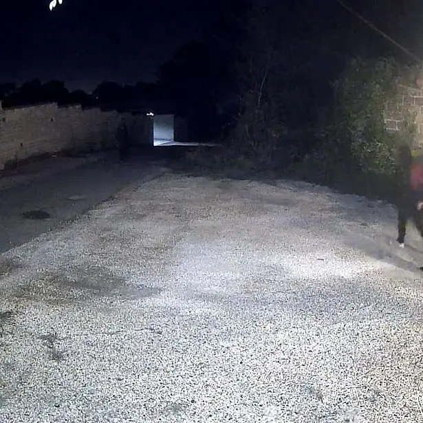 Torna l'allarme ladri a Monterosi, cittadini in allerta