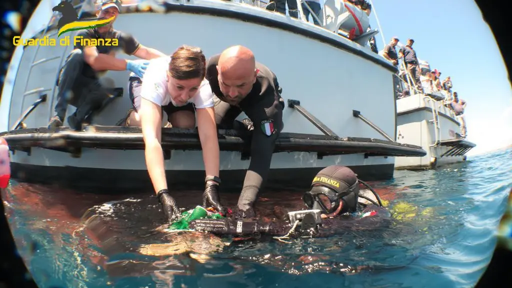 Tartaruga caretta caretta rilasciata in mare