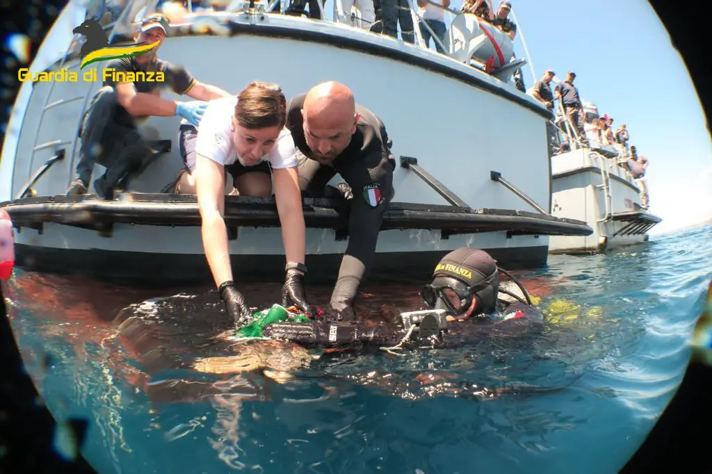 Tartaruga caretta caretta rilasciata in mare