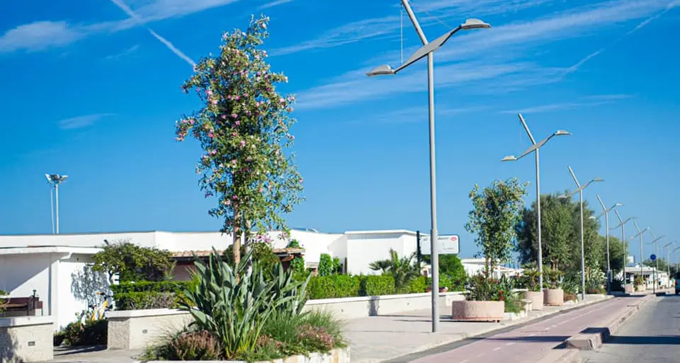 Tarquinia Lido, Fdi: «Sposetti fa retromarcia sul Lungomare, prima lo riapre al traffico, poi torna all’area pedonale introdotta dalla giunta Giulivi»