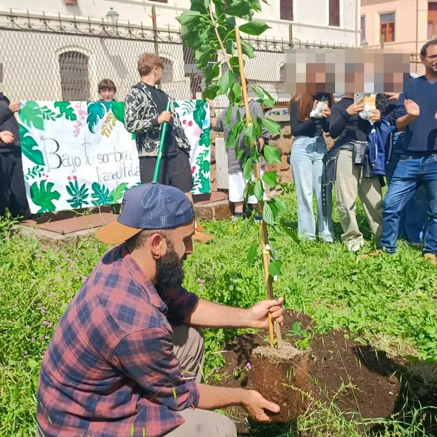 Al Midossi la piantumazione di un ciliegio