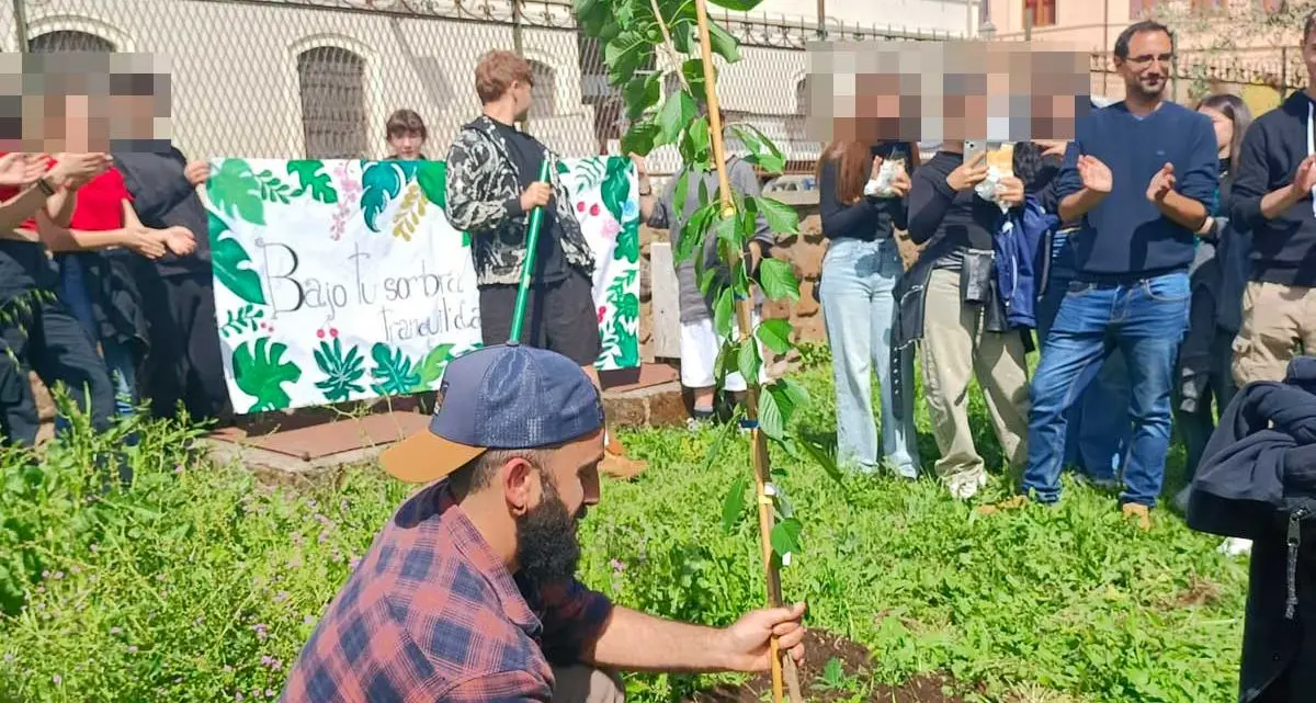 Al Midossi la piantumazione di un ciliegio