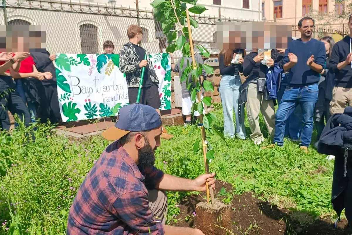 Al Midossi la piantumazione di un ciliegio