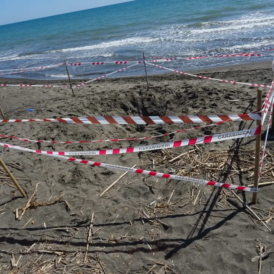 Diciassettenne morto soffocato sotto la sabbia a Montalto, il papà: “Non ha gridato”