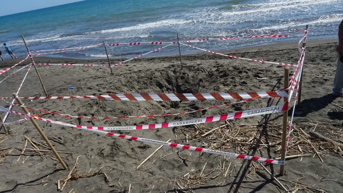 Diciassettenne morto soffocato sotto la sabbia a Montalto, il papà: “Non ha gridato”