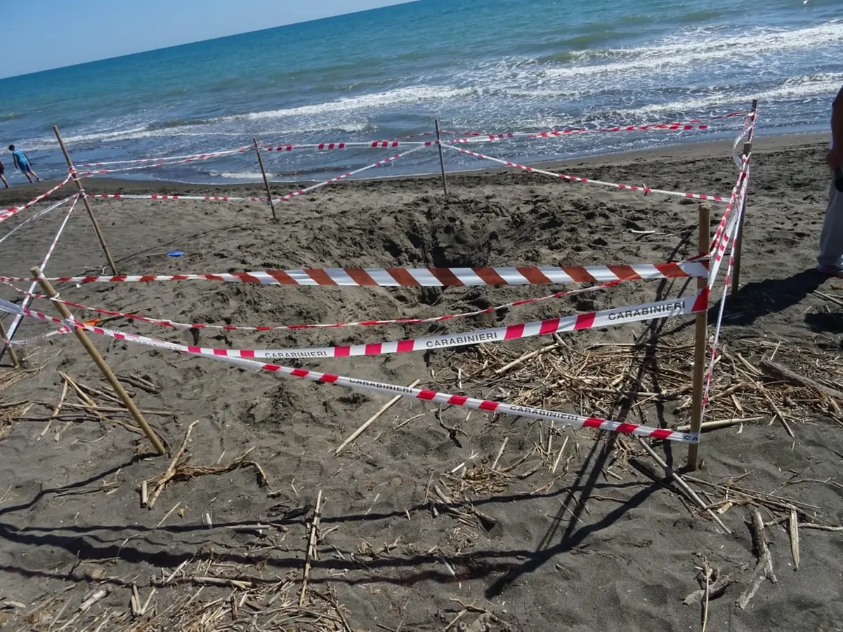 Diciassettenne morto soffocato sotto la sabbia a Montalto, il papà: “Non ha gridato”