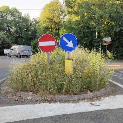 «Erbacce allo svincolo della Molinella»