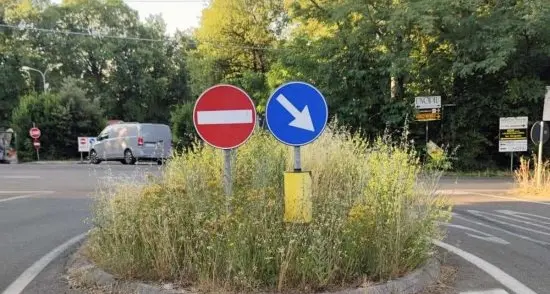 «Erbacce allo svincolo della Molinella»