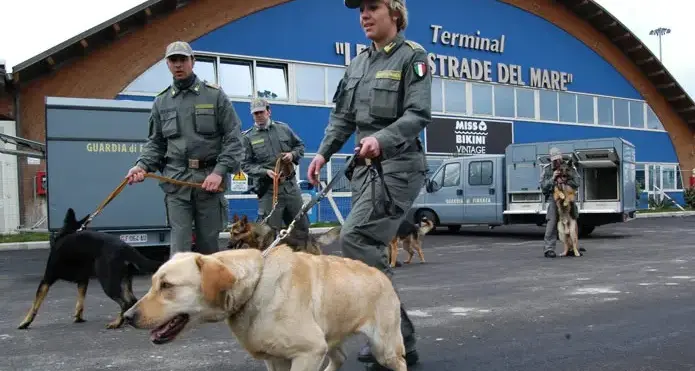 Gdf: 265 kg di hashish sequestrati in porto