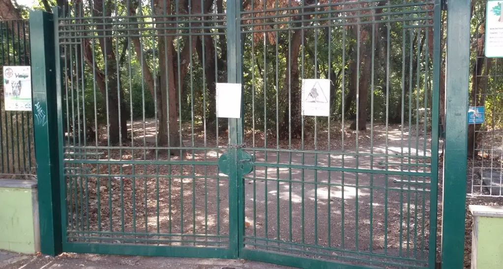 «Il bosco di Palo riapre al pubblico». L’annuncio è del sindaco Grando