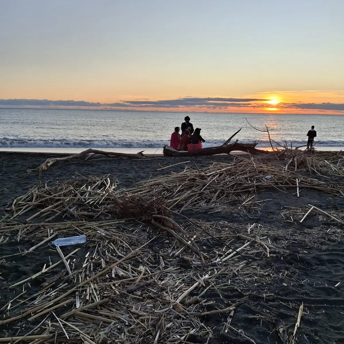 Tra rifiuti e canne anche le carcasse di animali