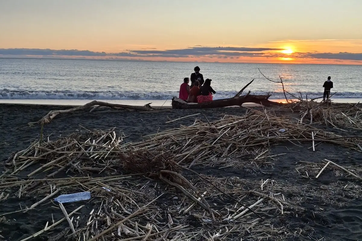 Tra rifiuti e canne anche le carcasse di animali