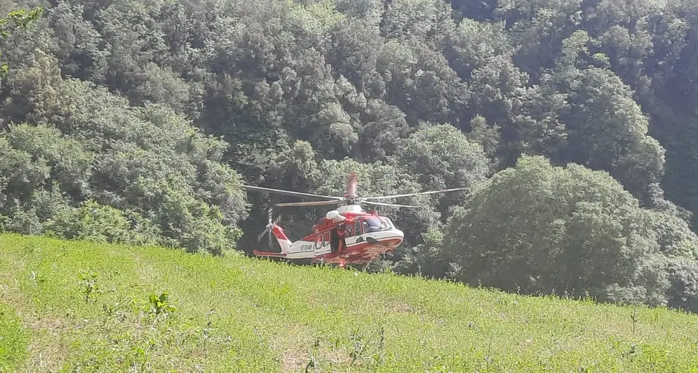 Accusa un malore dopo la puntura di un calabrone: atterra l’elicottero