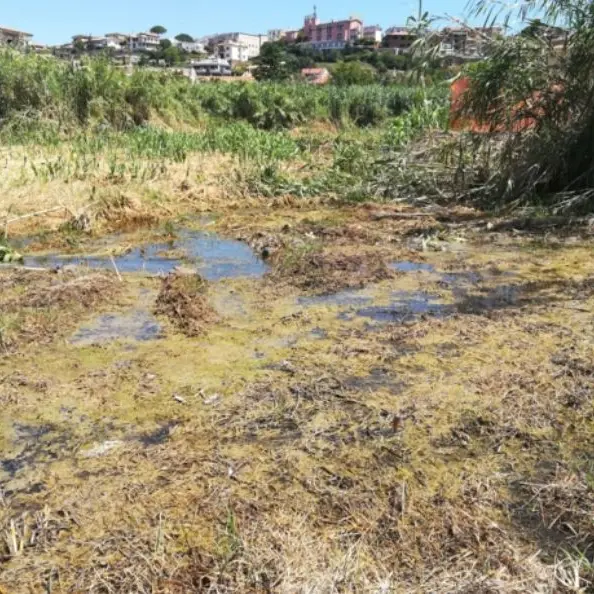 Perdita d’acqua all’altezza di Piane del Mignone a Tarquinia: interventi di riparazione giovedì 18 dicembre