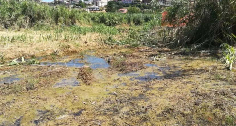 Perdita d’acqua all’altezza di Piane del Mignone a Tarquinia: interventi di riparazione giovedì 18 dicembre
