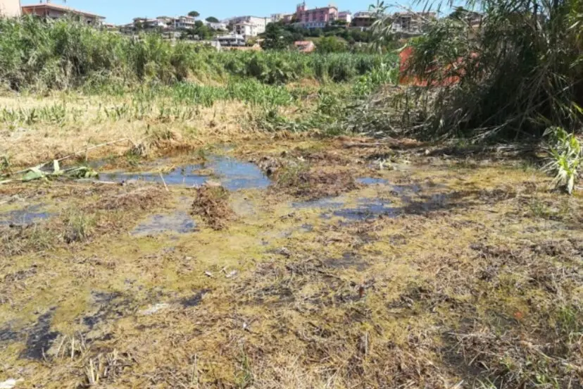 Perdita d’acqua all’altezza di Piane del Mignone a Tarquinia: interventi di riparazione giovedì 18 dicembre