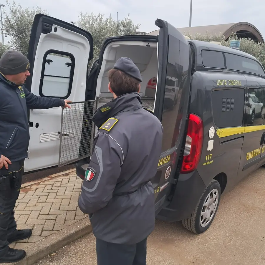 GdF: oltre 854 kg di droga sequestrati in tre mesi