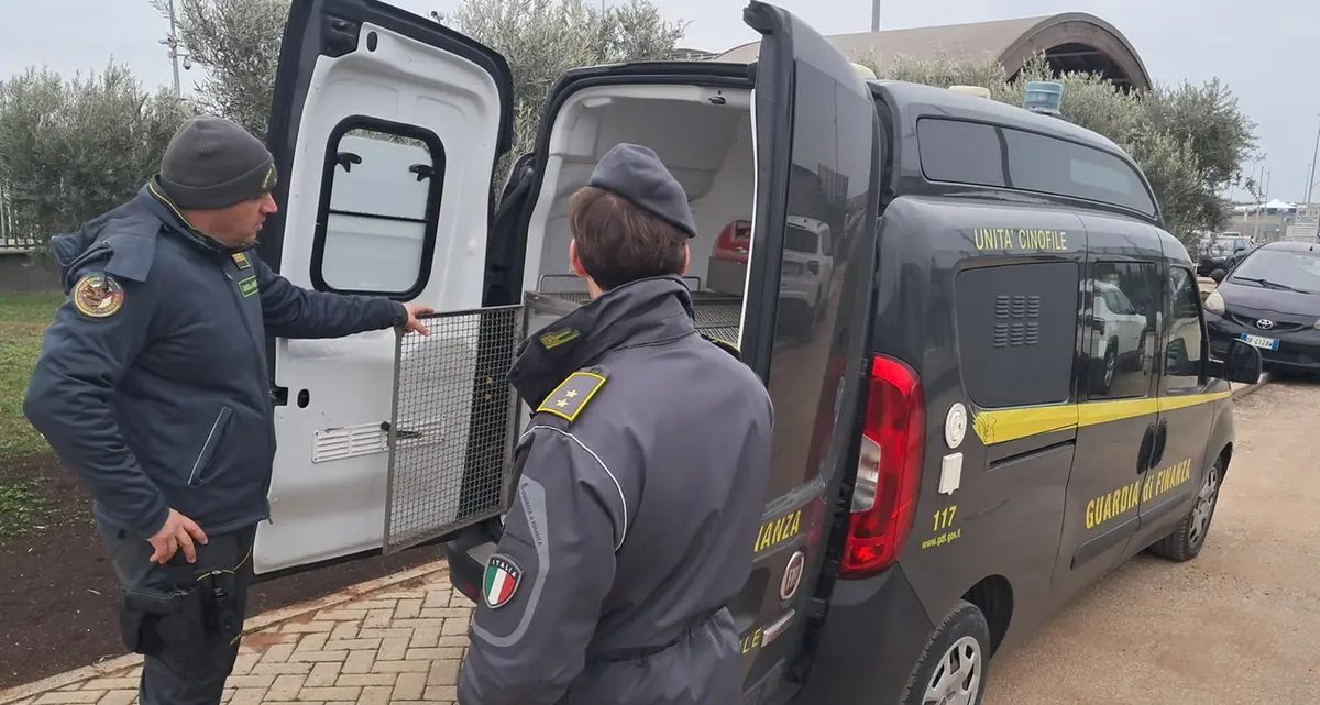 GdF: oltre 854 kg di droga sequestrati in tre mesi