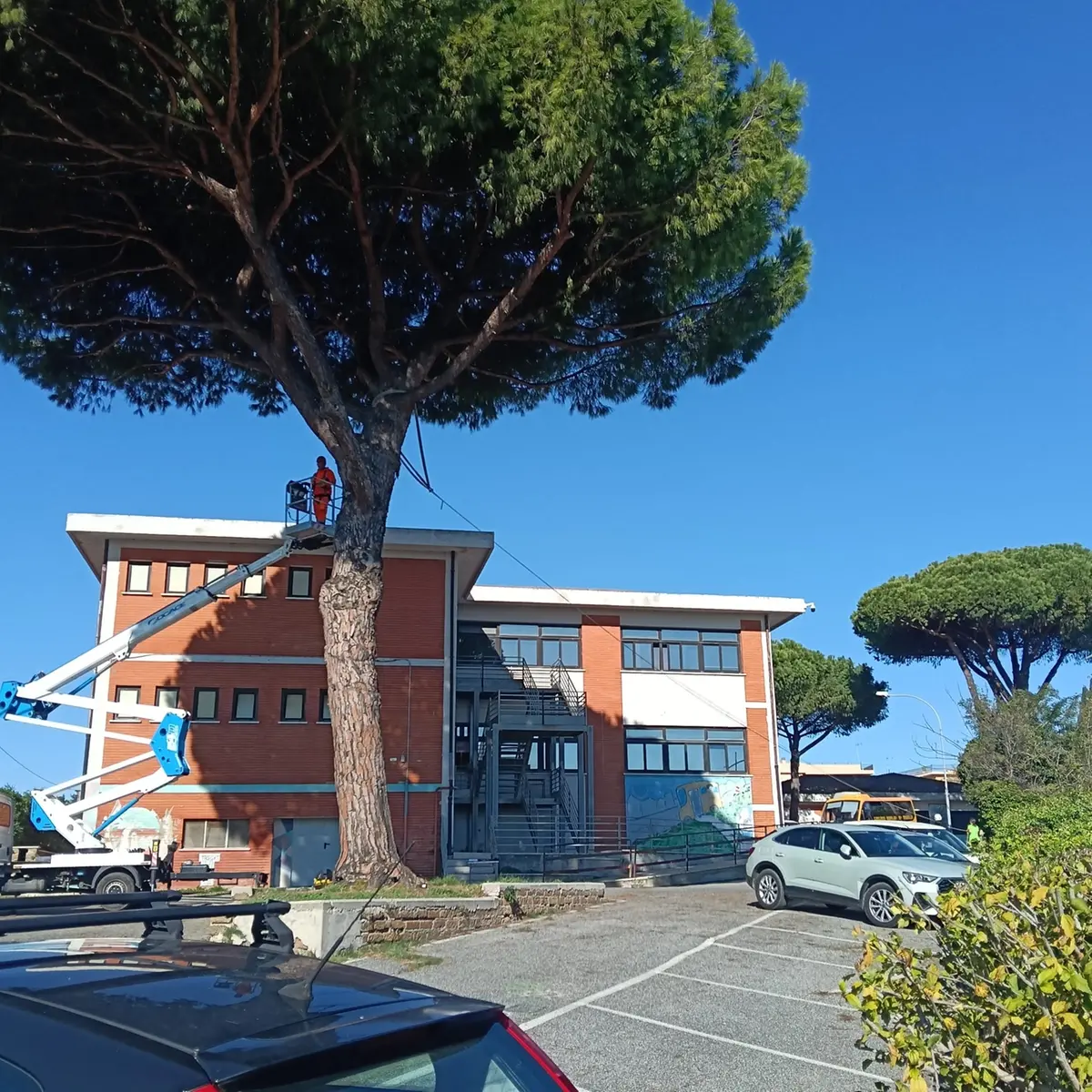 Scuola Cena, controlli mirati per evitare crolli degli alberi