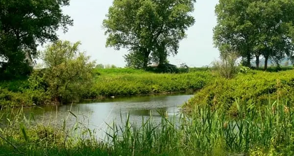 Riserva Naturale Statale del Litorale Romano, nuova vita per l’area di Coccia di Morto