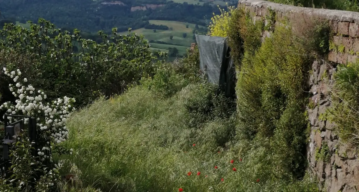 L’erbaccia soffoca Mugugnano: ripulita la piazzetta, intorno c’è la giungla