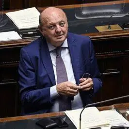 Pichetto: «Centrali a carbone in stand by»