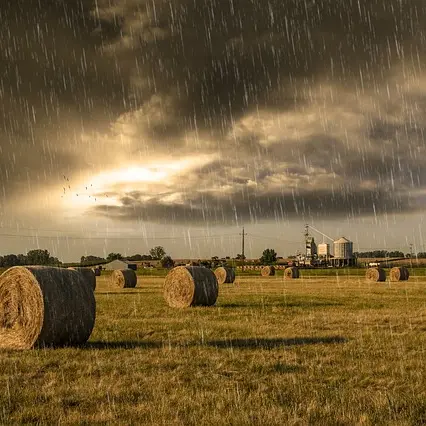 «Pioggia benedetta per i campi»