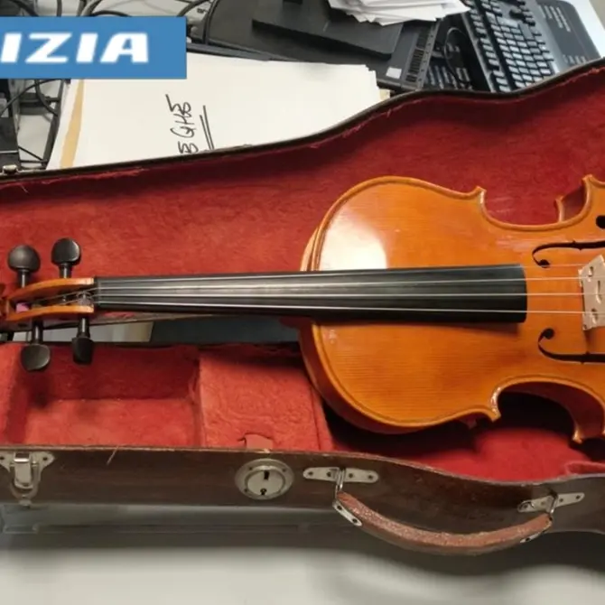 Viterbo: ruba una viola da un negozio