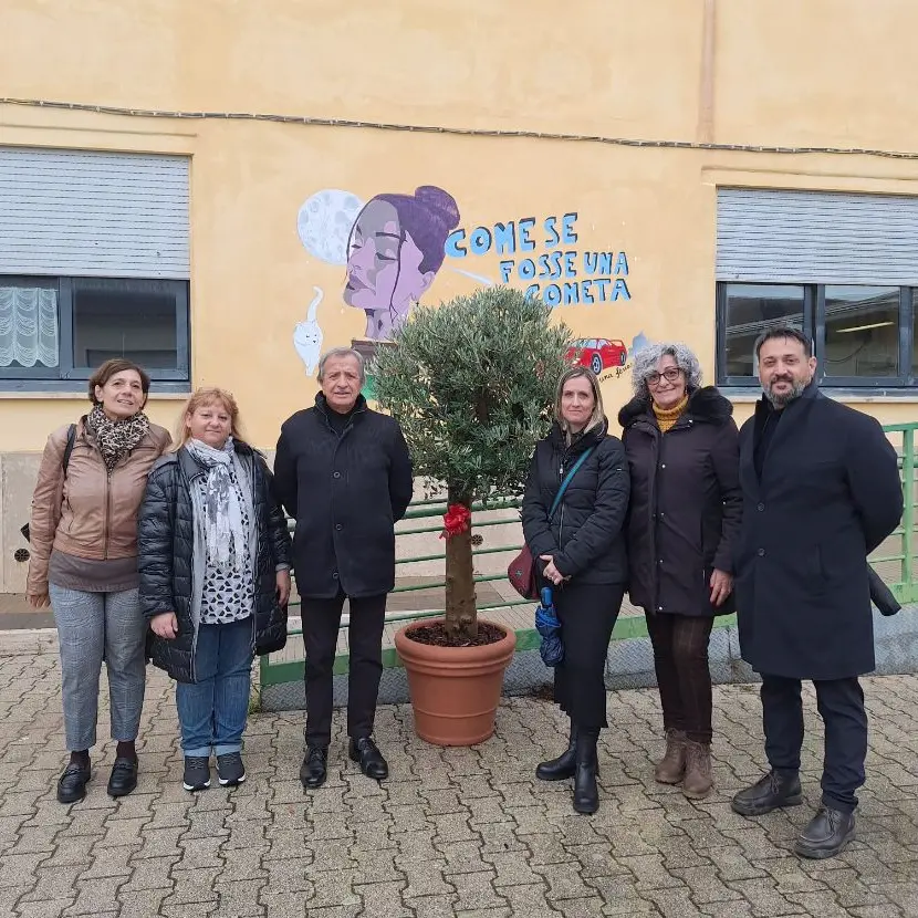 Due alberi di ulivo donati dal Comune di Santa Marinella al Liceo Galileo Galilei