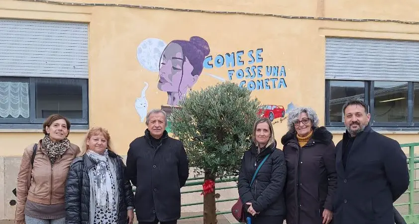 Due alberi di ulivo donati dal Comune di Santa Marinella al Liceo Galileo Galilei