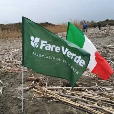 Mare d’inverno: volontari in azione alla Marina