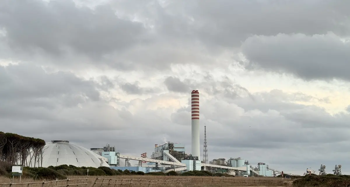 Marietta Tidei: «Tvn, la Regione intervenga con urgenza»