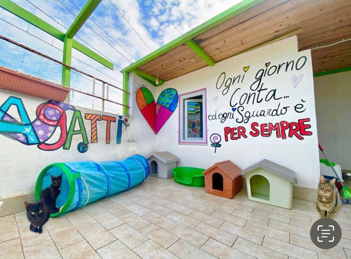 A776616B-B8B1-4CFE-91B2-4F870A1228EE