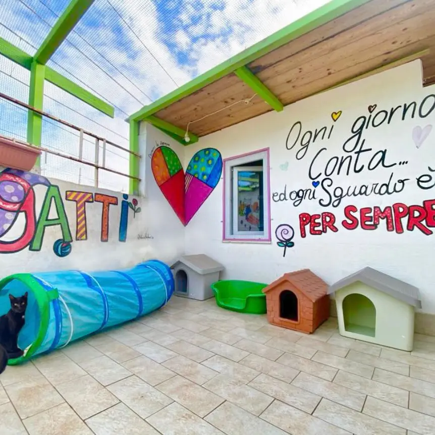 Dodici anni al servizio dei “pelosetti” più bisognosi del territorio