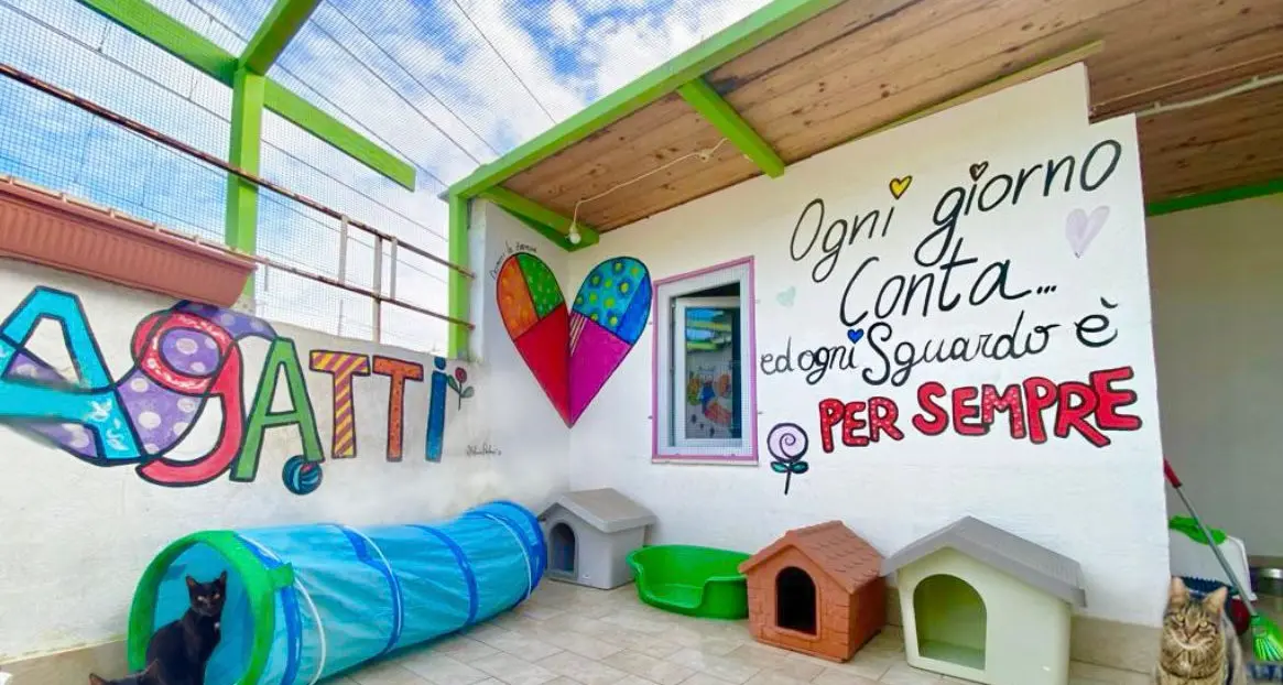 Dodici anni al servizio dei “pelosetti” più bisognosi del territorio