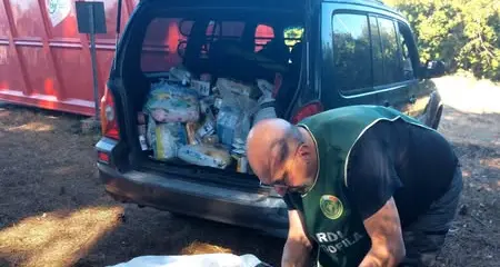 Il tir si ribalta sull’autostrada, cibo per cani donato alle zoofile