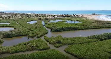 Torre Flavia: al via l’inanellamento degli uccelli