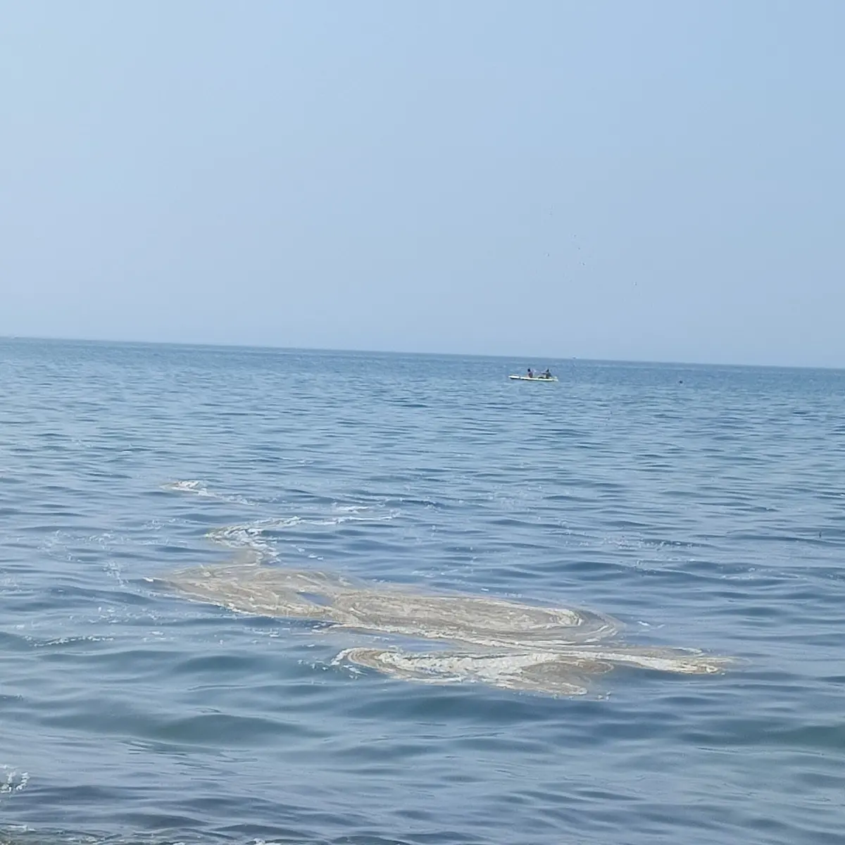 Scie melmose e rifiuti, si accelera sulla barca “spazzamare”
