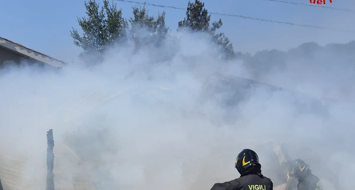 Capanno in fiamme a Tolfa, salvati gli animali e messe in sicurezza le abitazioni limitrofe
