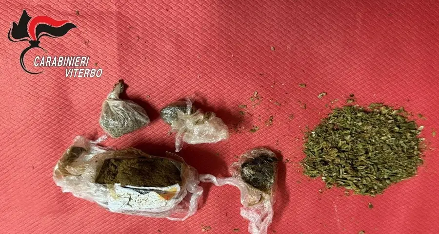 Nasconde hashish e marijuana nel sottotetto: arrestato 43enne