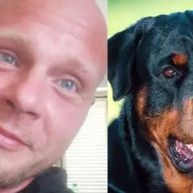 Sbranato dai cani, condannati i proprietari