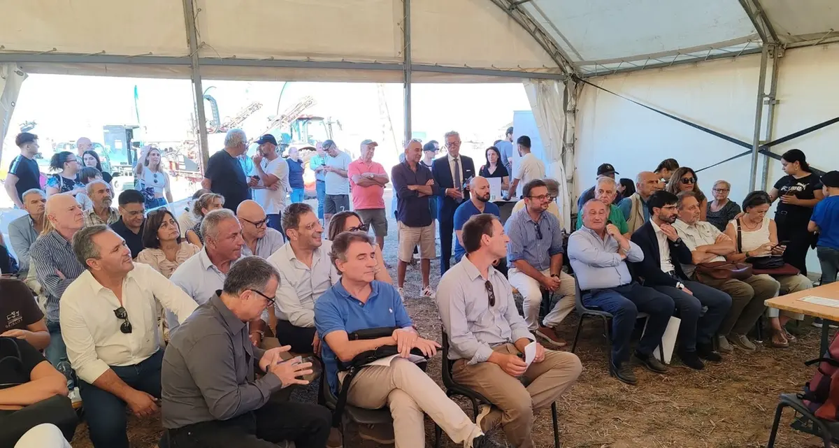 Successo del convegno sul bovino maremmano promosso dall’ Università Agraria di Tarquinia