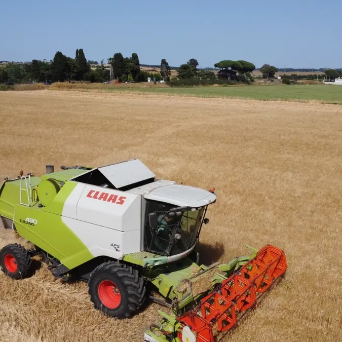 Crolla il prezzo del grano, settore agricolo sempre più a rischio