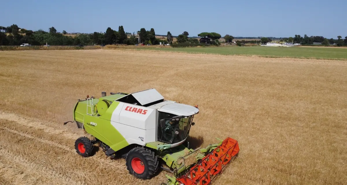 Crolla il prezzo del grano, settore agricolo sempre più a rischio