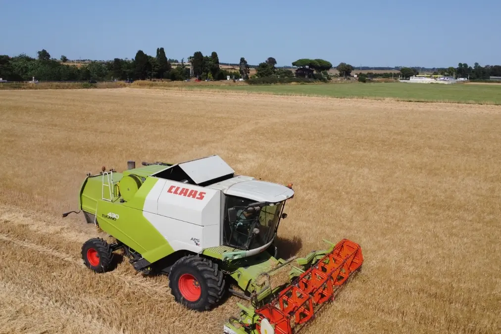 Crolla il prezzo del grano, settore agricolo sempre più a rischio