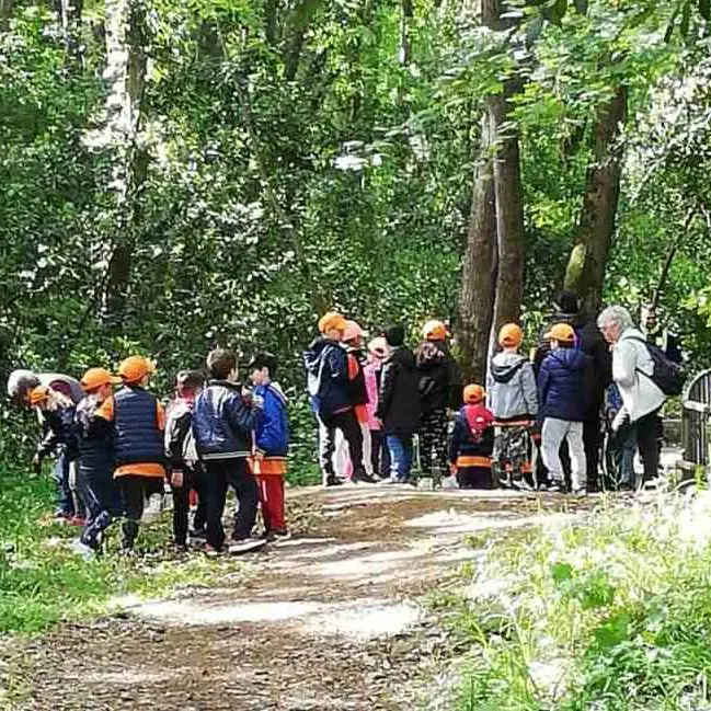 «È un bene troppo prezioso: non saremo spettatori al degrado del nostro bosco»
